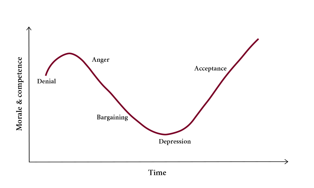 Grief Curve Graph