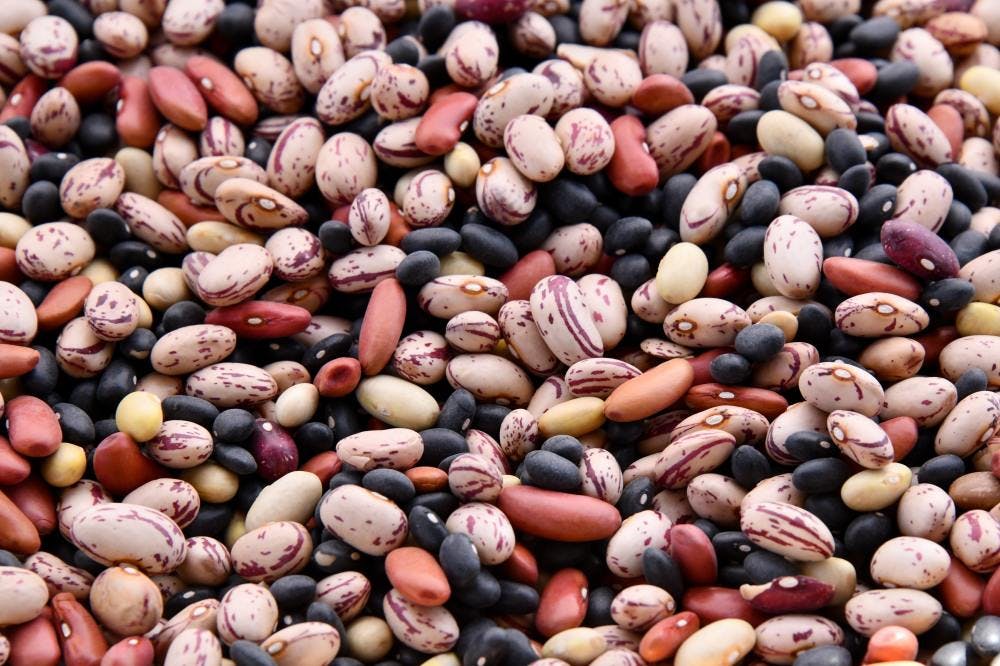 A range of different types of beans