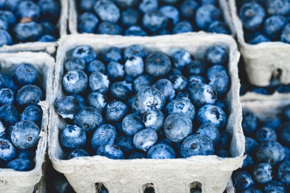 Blueberries for brain health