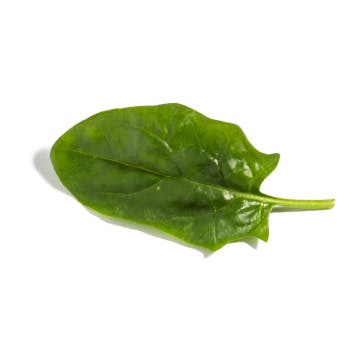 2.9 – spinach