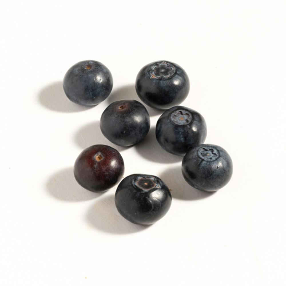 Handful of blueberries (1:1)