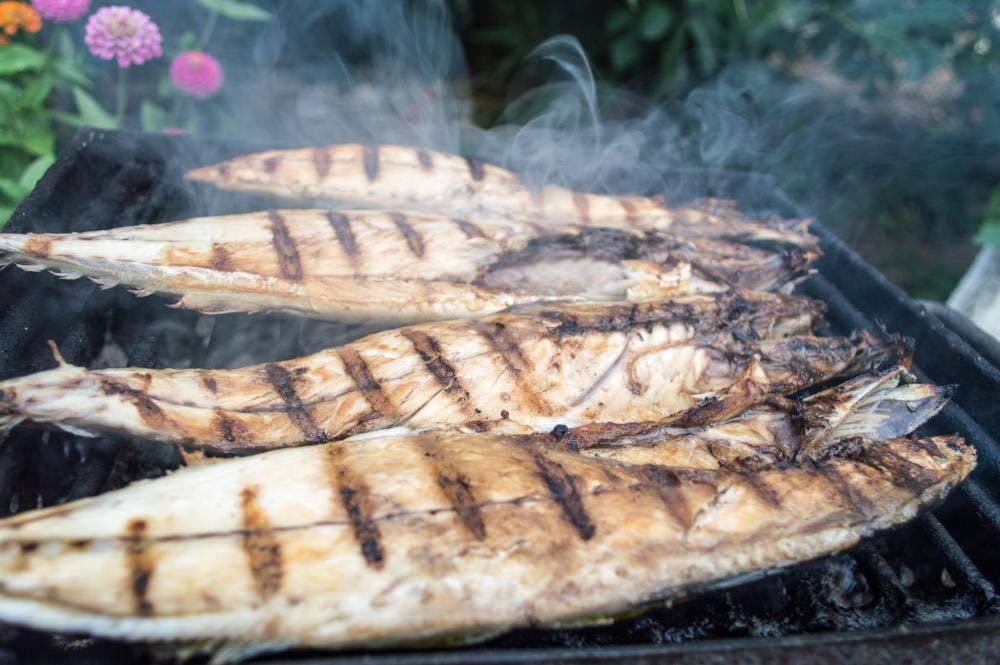Mackerel cooking on a barbecue