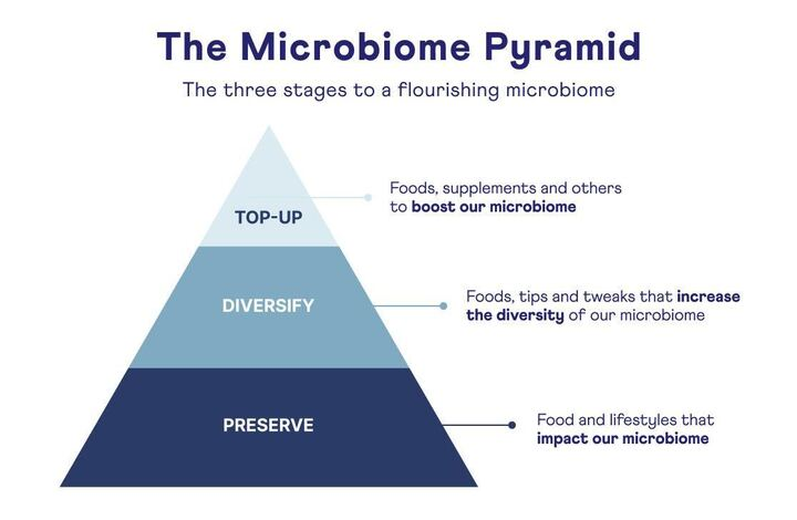 The Microbiome Pyramid - Article