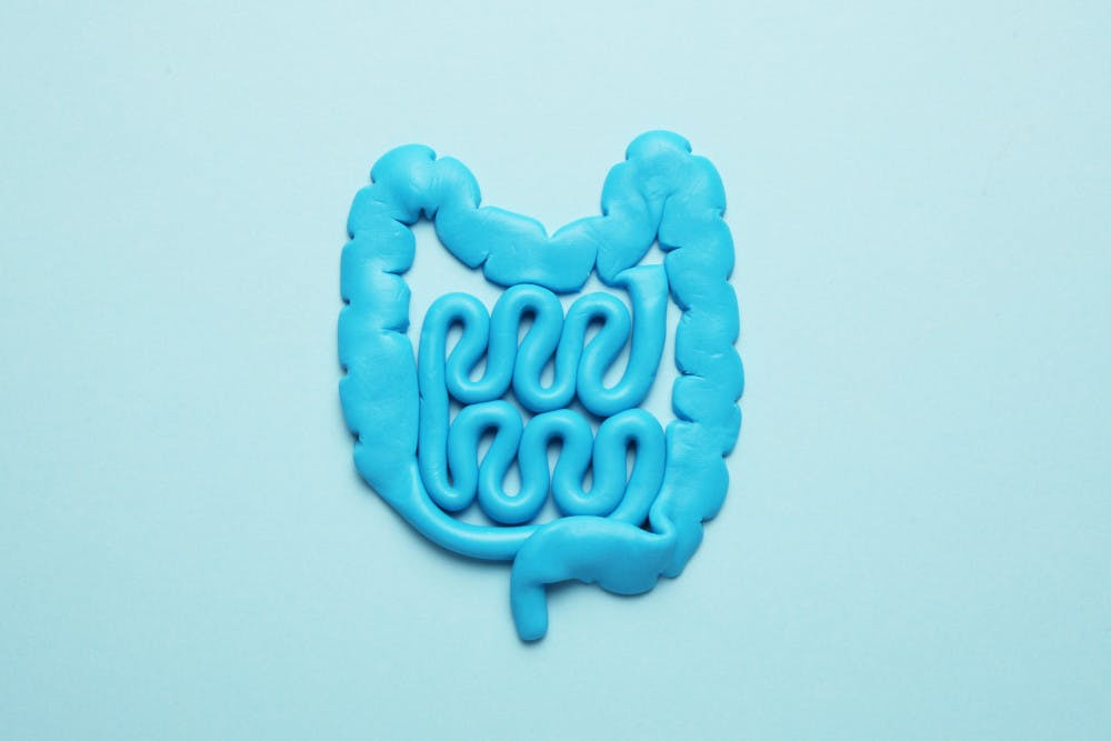 Blue intestinal tract made using play-dough against blue background for leaky gut article.