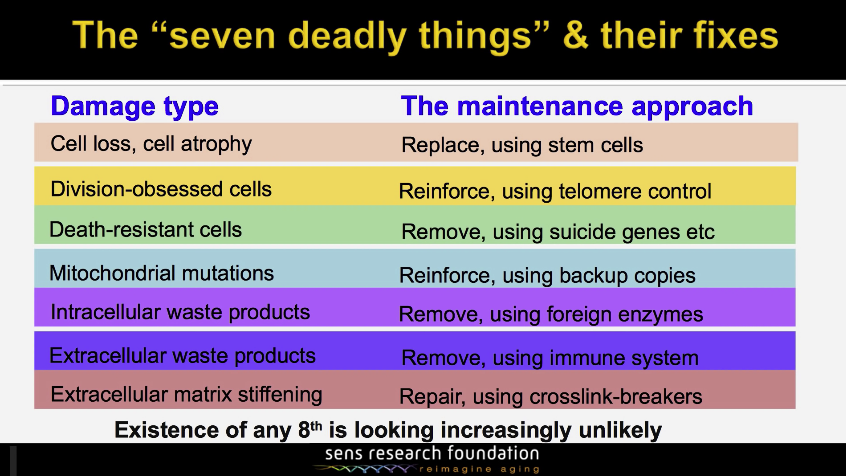 The seven deadly things for your cells with ageing and the maintenance approach