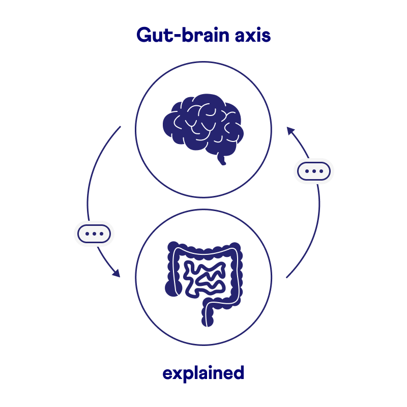 gut-brain axis infog whitebg