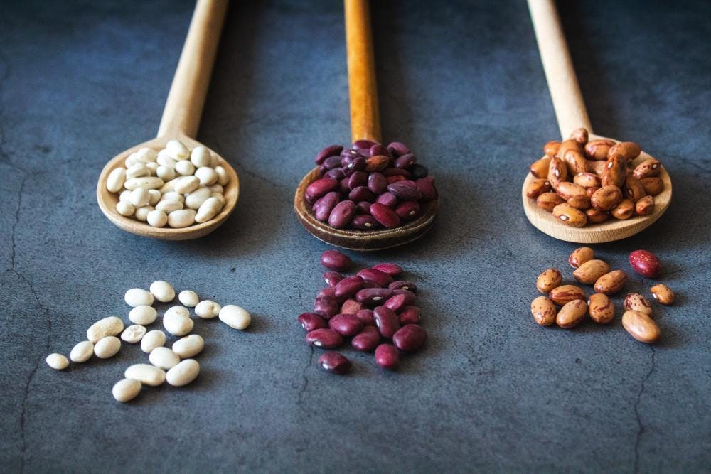 beans-legumes