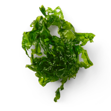 Omega EPA - Seaweed